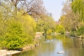 23 04_Regents Park_2821